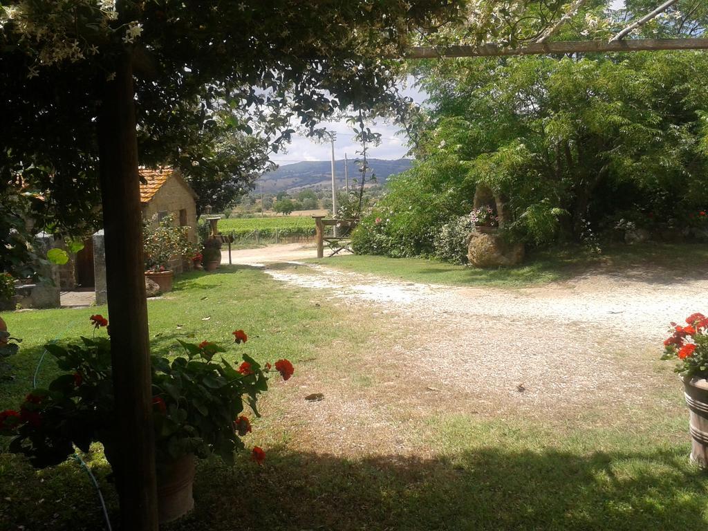 הוילה פיטיליאנו Poggio Dell'Olivo מראה חיצוני תמונה