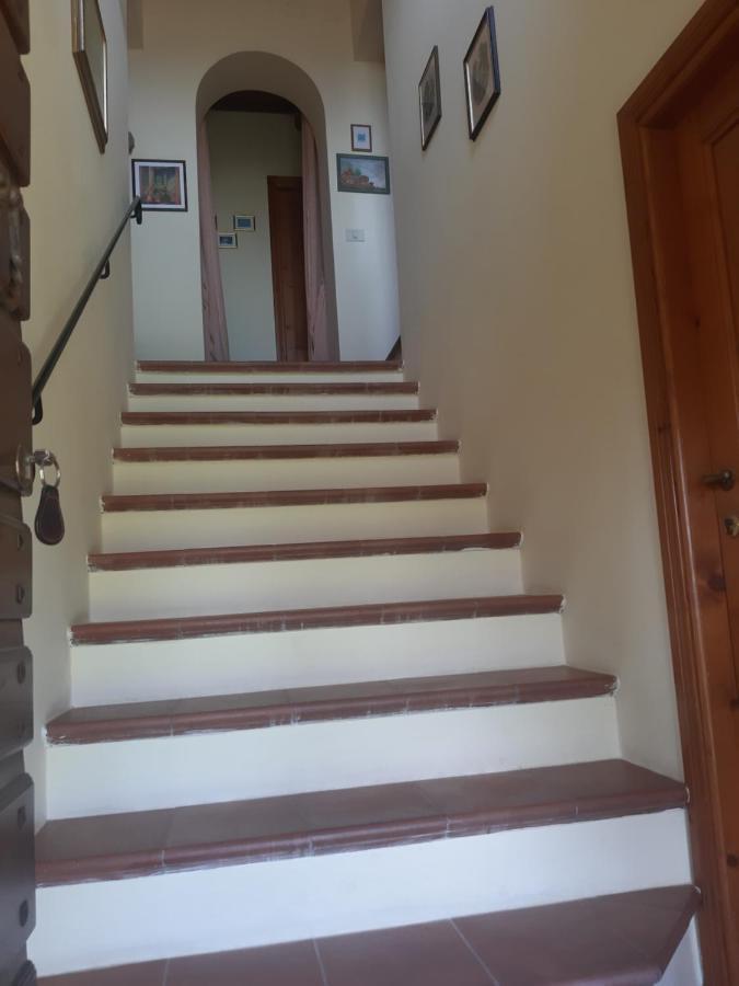 הוילה פיטיליאנו Poggio Dell'Olivo מראה חיצוני תמונה