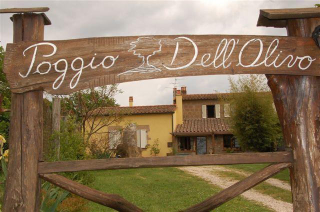 הוילה פיטיליאנו Poggio Dell'Olivo מראה חיצוני תמונה