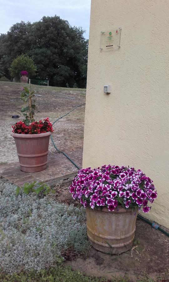 הוילה פיטיליאנו Poggio Dell'Olivo מראה חיצוני תמונה
